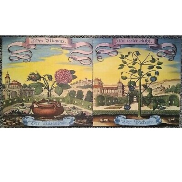 Natural Curiosities Images For the Inquisitive Box Mane Ortus Intentio Volume 9 - Picture 6 of 6